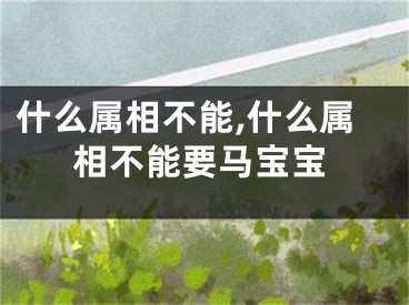 什么属相不能,什么属相不能要马宝宝