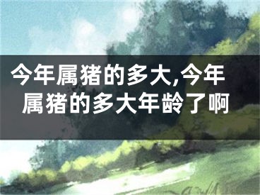 今年属猪的多大,今年属猪的多大年龄了啊