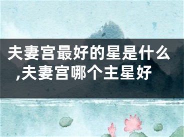 夫妻宫最好的星是什么,夫妻宫哪个主星好