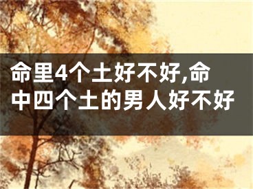 命里4个土好不好,命中四个土的男人好不好