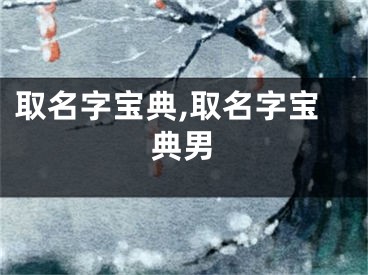 取名字宝典,取名字宝典男