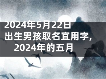2024年5月22日出生男孩取名宜用字,2024年的五月