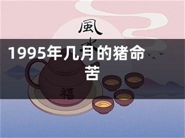 1995年几月的猪命苦