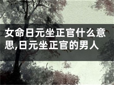女命日元坐正官什么意思,日元坐正官的男人