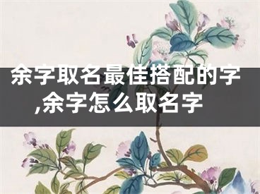 余字取名最佳搭配的字,余字怎么取名字