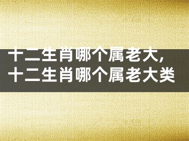 十二生肖哪个属老大,十二生肖哪个属老大类