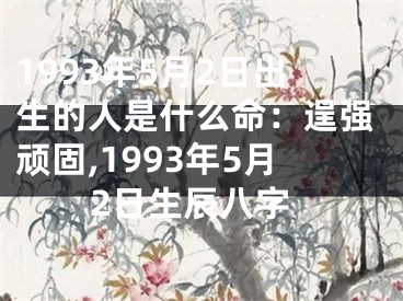 1993年5月2日出生的人是什么命：逞强顽固,1993年5月2日生辰八字