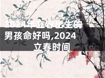 2024年立春出生的男孩命好吗,2024立春时间
