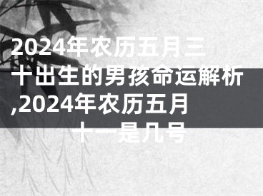 2024年农历五月三十出生的男孩命运解析,2024年农历五月十一是几号