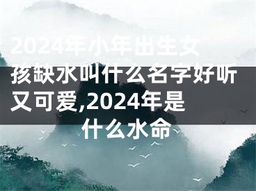 2024年小年出生女孩缺水叫什么名字好听又可爱,2024年是什么水命