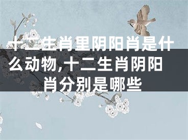 十二生肖里阴阳肖是什么动物,十二生肖阴阳肖分别是哪些