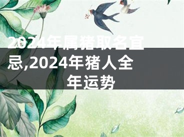 2024年属猪取名宜忌,2024年猪人全年运势
