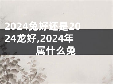 2024兔好还是2024龙好,2024年属什么兔
