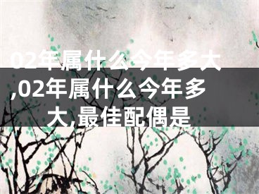 02年属什么今年多大,02年属什么今年多大,最佳配偶是