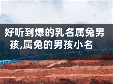 好听到爆的乳名属兔男孩,属兔的男孩小名