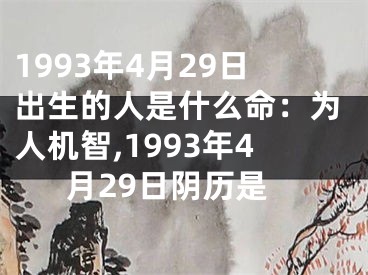 1993年4月29日出生的人是什么命：为人机智,1993年4月29日阴历是