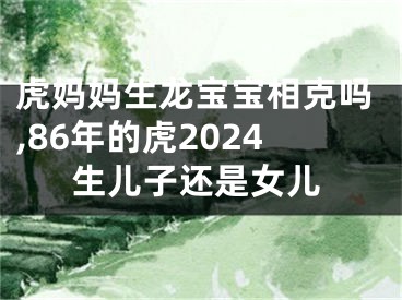 虎妈妈生龙宝宝相克吗,86年的虎2024生儿子还是女儿