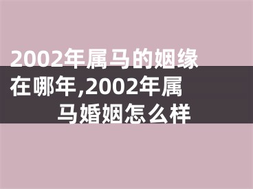 2002年属马的姻缘在哪年,2002年属马婚姻怎么样
