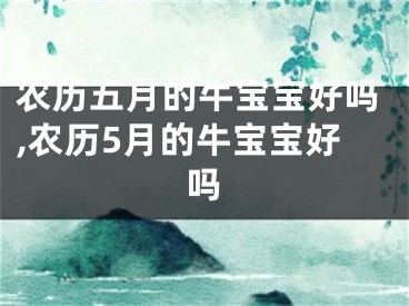 农历五月的牛宝宝好吗,农历5月的牛宝宝好吗