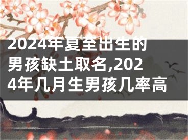 2024年夏至出生的男孩缺土取名,2024年几月生男孩几率高