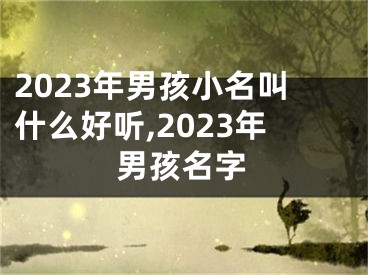 2023年男孩小名叫什么好听,2023年男孩名字