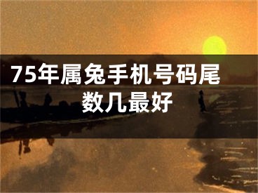 75年属兔手机号码尾数几最好