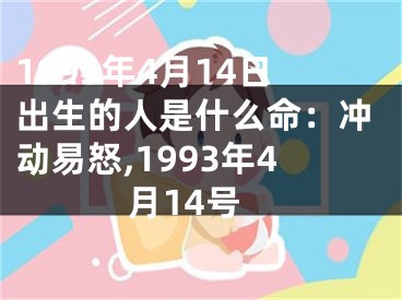 1993年4月14日出生的人是什么命：冲动易怒,1993年4月14号