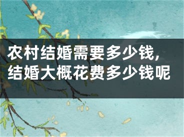 农村结婚需要多少钱,结婚大概花费多少钱呢