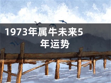 1973年属牛未来5年运势