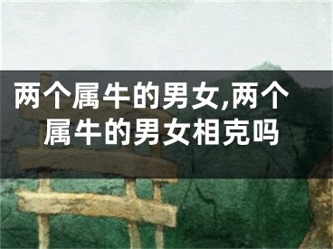 两个属牛的男女,两个属牛的男女相克吗