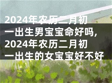 2024年农历二月初一出生男宝宝命好吗,2024年农历二月初一出生的女宝宝好不好