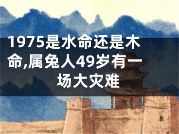 1975是水命还是木命,属兔人49岁有一场大灾难