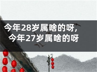 今年28岁属啥的呀,今年27岁属啥的呀