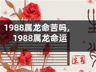 1988属龙命苦吗,1988属龙命运