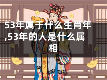 53年属于什么生肖年,53年的人是什么属相