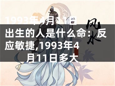 1993年4月11日出生的人是什么命：反应敏捷,1993年4月11日多大