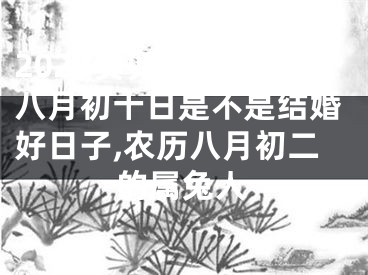 2024癸卯兔年农历八月初十日是不是结婚好日子,农历八月初二的属兔人