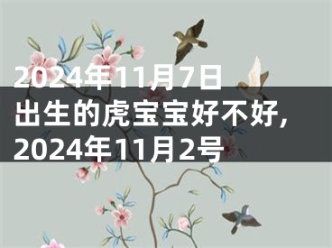 2024年11月7日出生的虎宝宝好不好,2024年11月2号