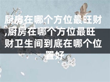 厨房在哪个方位最旺财,厨房在哪个方位最旺财卫生间到底在哪个位置好