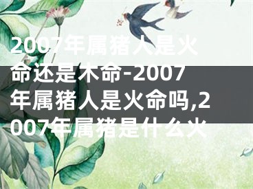 2007年属猪人是火命还是木命-2007年属猪人是火命吗,2007年属猪是什么火