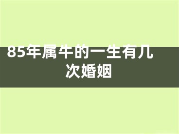 85年属牛的一生有几次婚姻