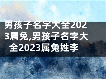 男孩子名字大全2023属兔,男孩子名字大全2023属兔姓李