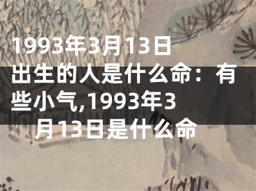 1993年3月13日出生的人是什么命：有些小气,1993年3月13日是什么命