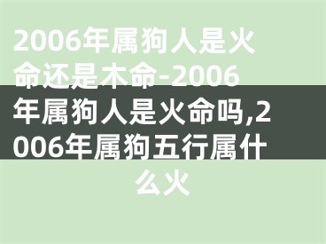 2006年属狗人是火命还是木命-2006年属狗人是火命吗,2006年属狗五行属什么火