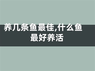 养几条鱼最佳,什么鱼最好养活