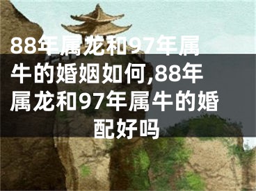 88年属龙和97年属牛的婚姻如何,88年属龙和97年属牛的婚配好吗