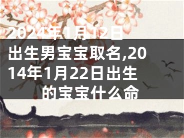 2024年1月12日出生男宝宝取名,2014年1月22日出生的宝宝什么命