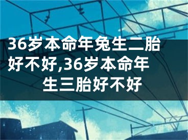 36岁本命年兔生二胎好不好,36岁本命年生三胎好不好