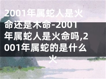 2001年属蛇人是火命还是木命-2001年属蛇人是火命吗,2001年属蛇的是什么火