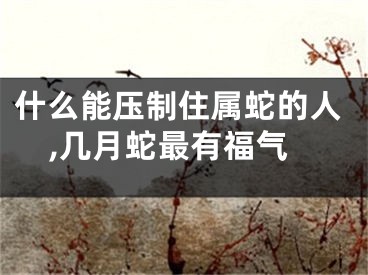 什么能压制住属蛇的人,几月蛇最有福气
